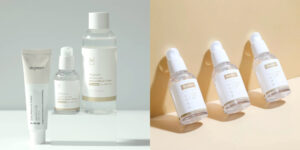 Vegreen distributor CEE